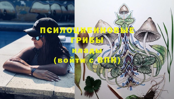 соль курить ск Няндома