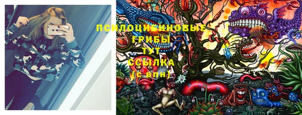 соль курить ск Няндома