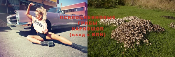 соль курить ск Няндома