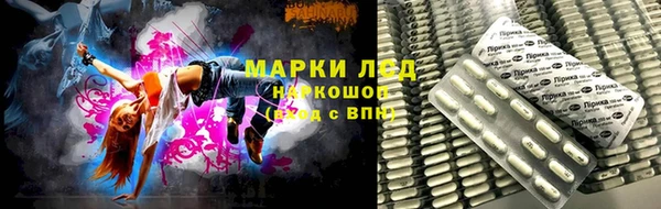 крисы Осташков