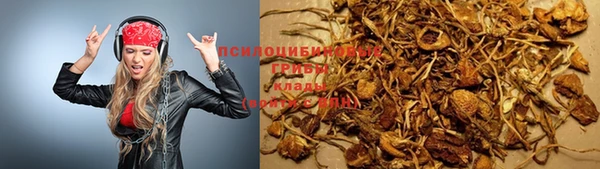 ALPHA PVP Нягань