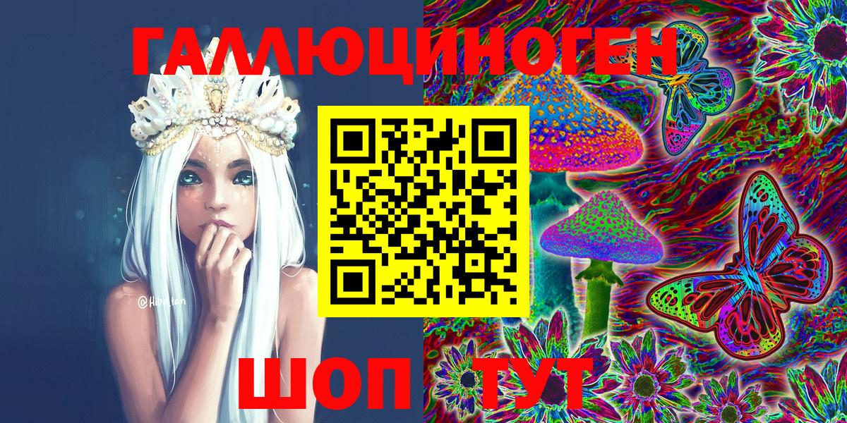 Галлюциногенные грибы GOLDEN TEACHER  где найти   Галлюциногенные грибы Psilocybine cubensis  Тверь  Вход с VPN 